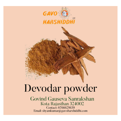 Deodar wood powder Himalaya cedar 