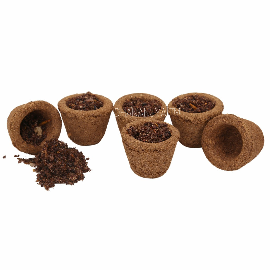 Sambrani Havan Cups 